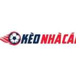 Kèo Nhà Cái Profile Picture