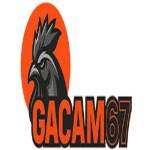 Gacam67 ringger Profile Picture