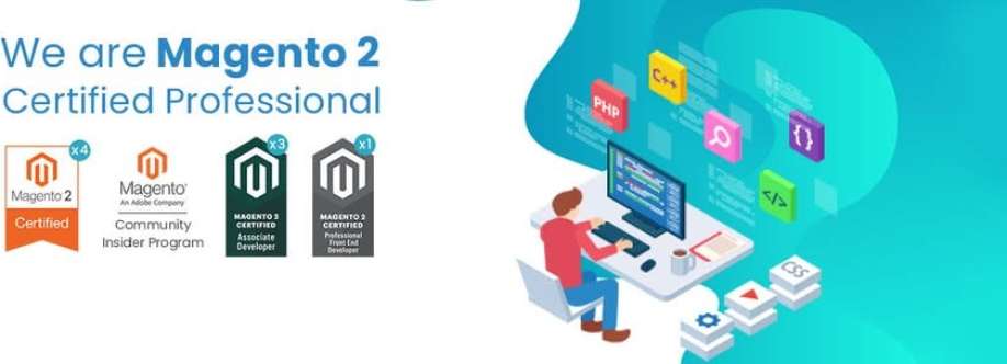 Viha Digital Commerce Cover Image