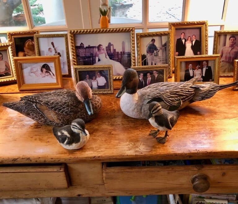 What Should You Look for When Choosing a Wooden Waterfowl Decoy? – Writoka