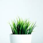 legend fit Profile Picture