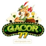 Gacor77 Casino Profile Picture