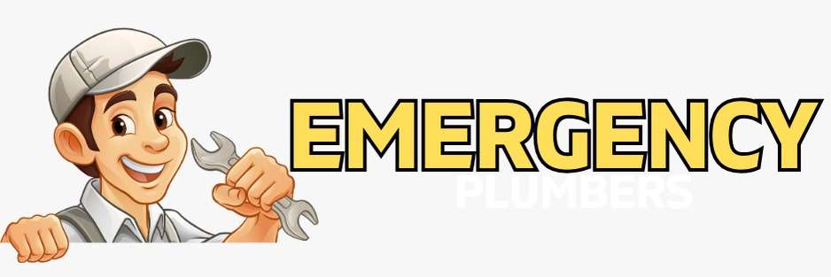 emergency plumbers Profile Picture