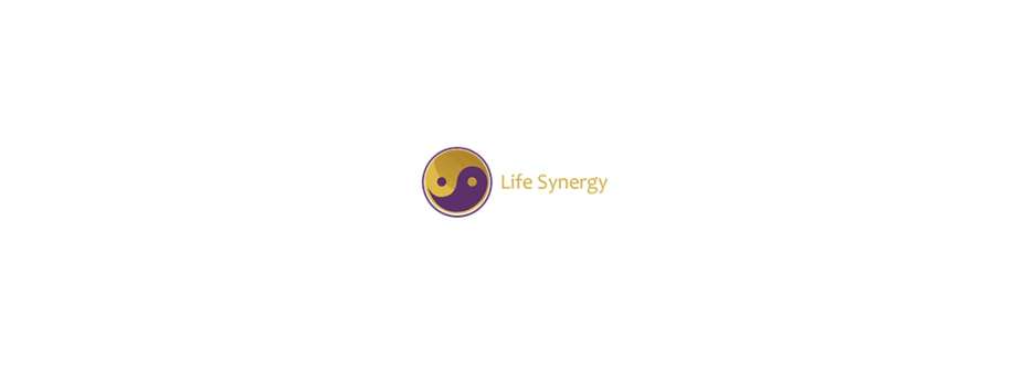 Life Synergy Retreat Cover Image