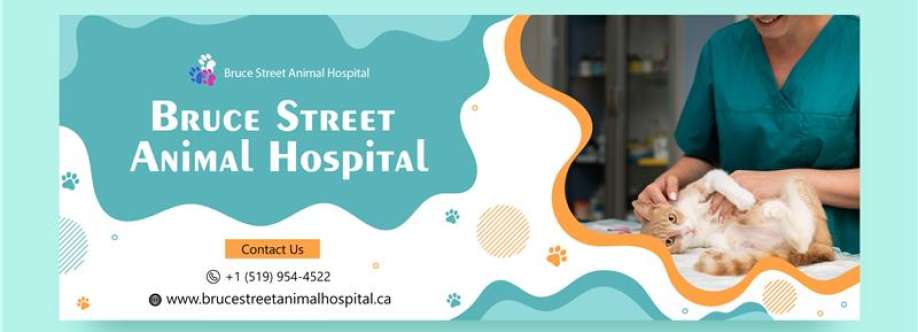 Bruce Street Cover Image