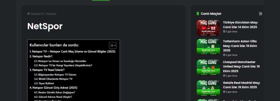 netspor A Cover Image