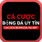 Cá cược bóng đá Profile Picture