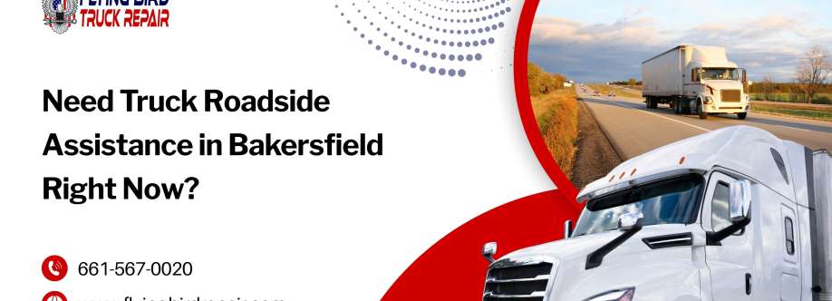 Flying Bird Truck Repair Cover Image