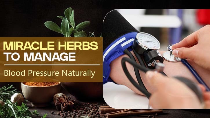 Miracle Herbs to Manage Blood Pressure Naturally – @vedikrootsproduct on Tumblr