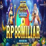 toto slot Profile Picture