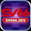 Sv66 DEV Profile Picture