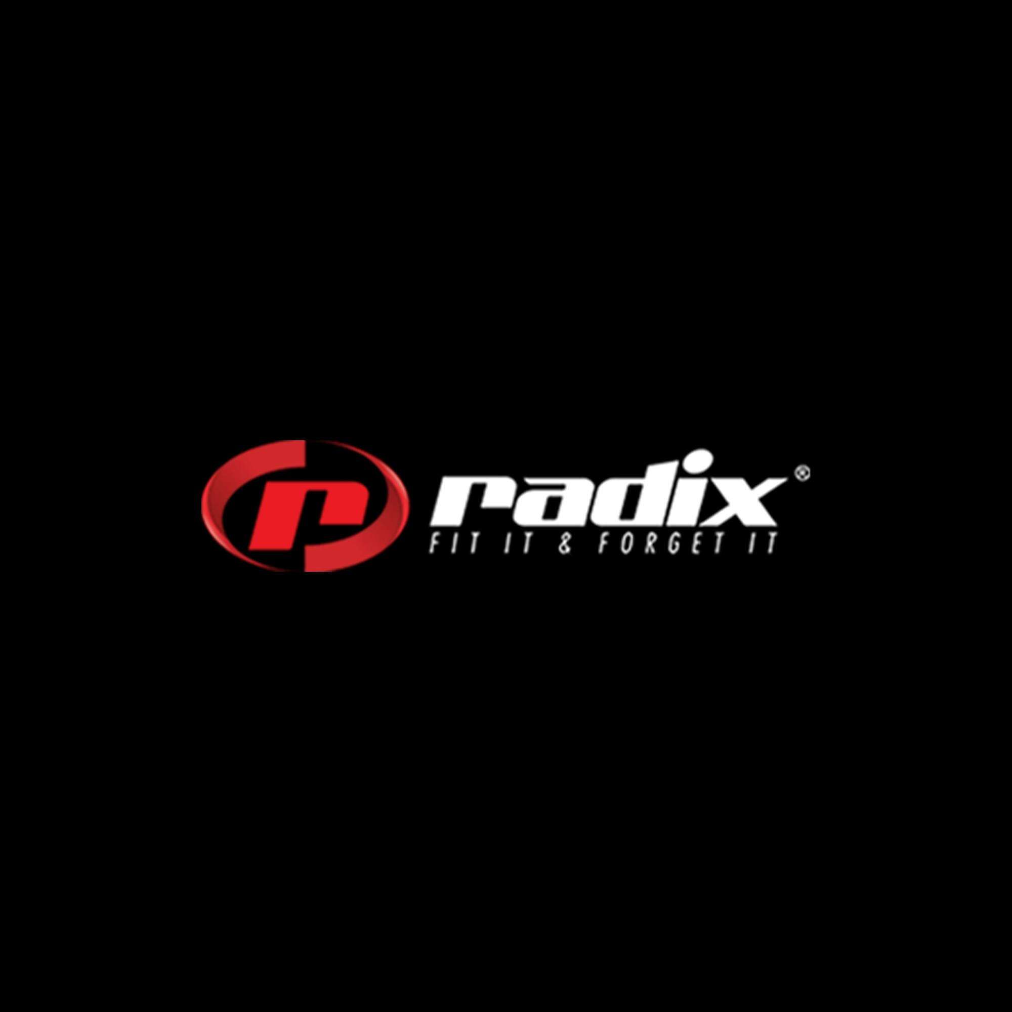 Radix Battery Profile Picture