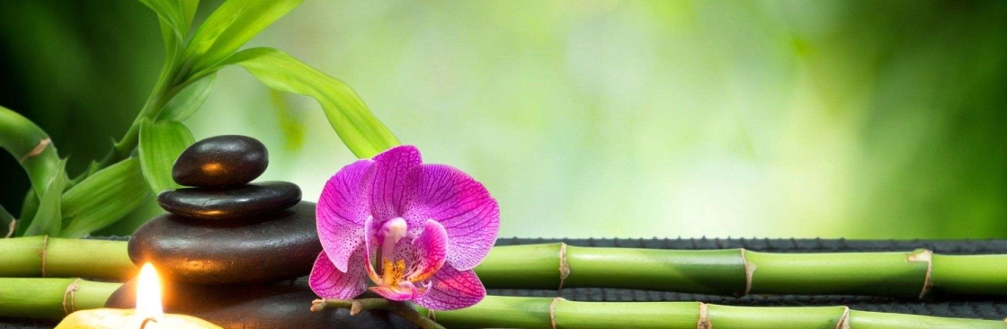 Mental Wellness Cover Image