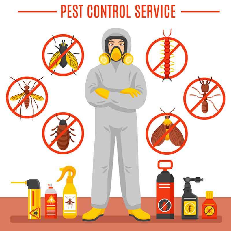 Pest Control Dubai Profile Picture