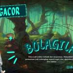 spani shflea Profile Picture