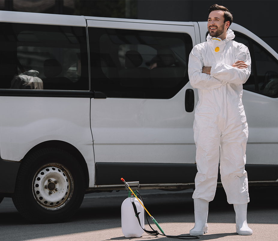 How Timely Pest Control Services in Oman Save You Money in the Long Run - HiCare