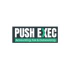 Push Exec Ltd Profile Picture