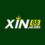 xin88 aeorg Profile Picture