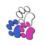 Bruce Street Profile Picture