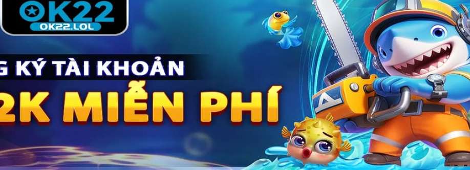 Ok22 lol Cover Image