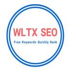 WPSQM Wordpress Speed Optimization Ser Profile Picture