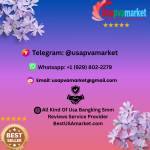 Simon Quintero profile picture