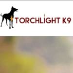 Torch Lightk Profile Picture
