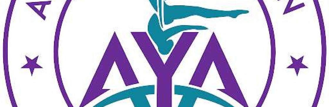 Aya Art of Aerial Cover Image