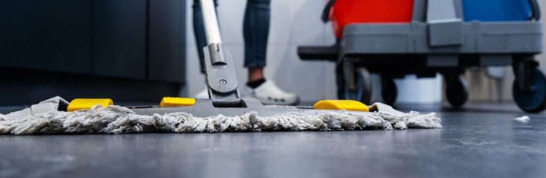 Tidy Trends LLC Cover Image