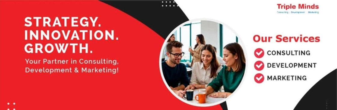 Triple Minds Cover Image