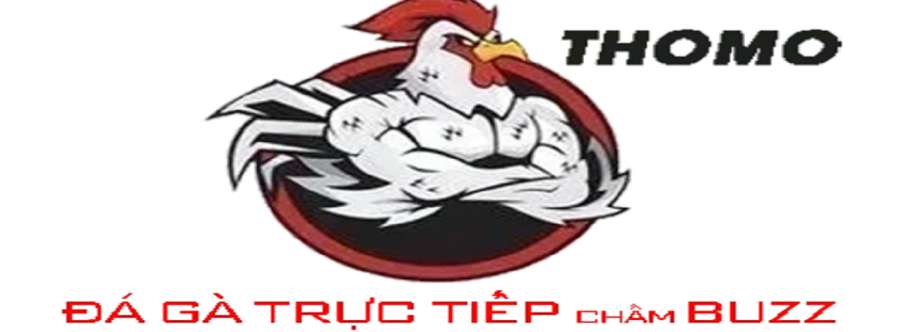 Đá gà trực tiếp Cover Image