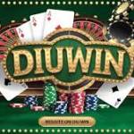 Diuwin Game Profile Picture