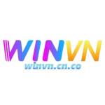 Winvn Cn Profile Picture