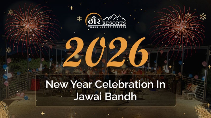 New Year Celebration In Jawai Bandh - Thour Nature Resorts