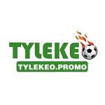 Tylekeo Promo Profile Picture