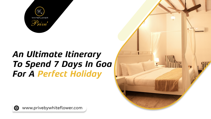 An Ultimate Itinerary To Spend 7 Days In Goa For A Perfect Holiday – Prive