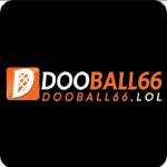 DOOBALL66 66 Profile Picture