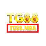 tg88 mba Profile Picture