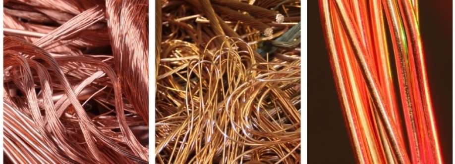 Sa Copper Adelaide Cover Image