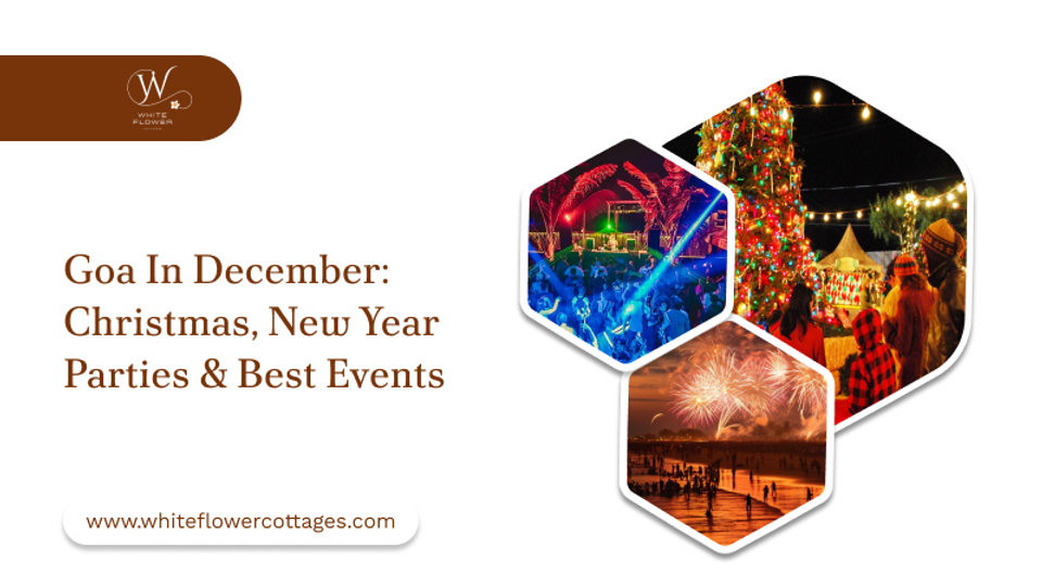 Goa in December: Christmas, New Year Parties & Best Events