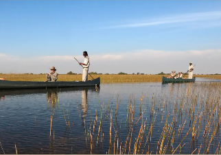 Ideas, Tips, and Insights on Networking & Growth | Omaada Blog