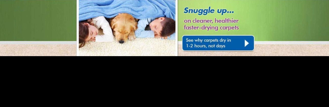 Chem Dry Clean and Green Cover Image