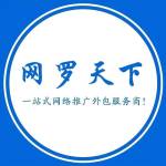 网罗天下 独立站搭建 谷歌SEO profile picture