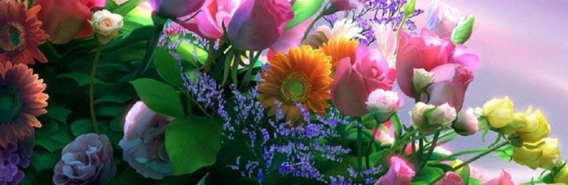 Hazel David Cover Image