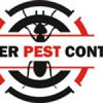 Super Pest Control Pestcontrol Profile Picture