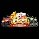 B29 sa Profile Picture