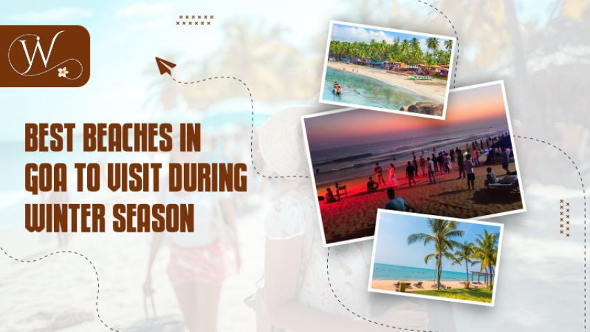 Best Beaches in Goa to Visit During Winter Season - PromoteProject | Startup Growth Platform