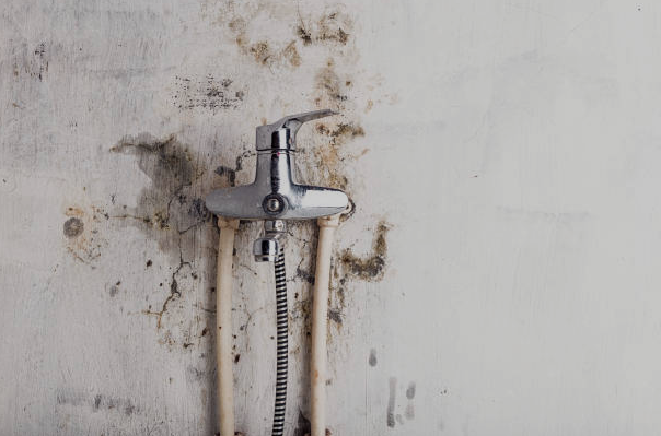 Mould Remediation Services Malaysia | Expert Cleanup Today