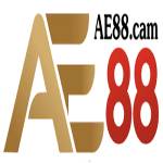 AE88 Cam Profile Picture