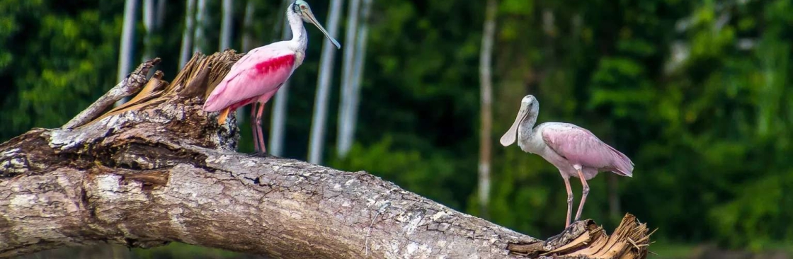 Bio Manu Expedition Cover Image